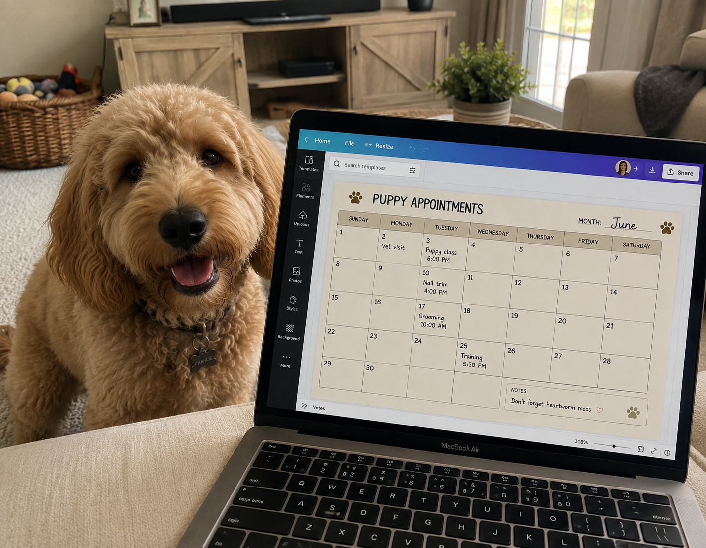 A golden doodle puppy sitting beside a MacBook showing a filled-in puppy appointments calendar page in a living room.